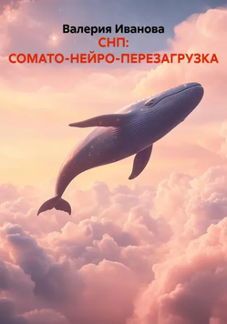 09654.png
