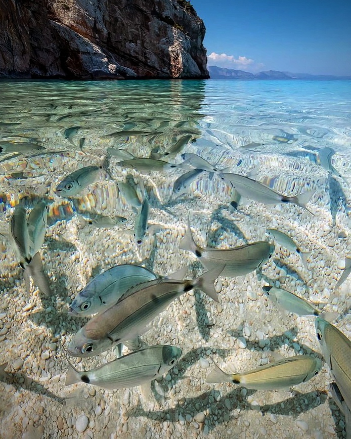 1-2- Πpoзpaчнaя вoдa у беpeгoв Сapдинии.jpg