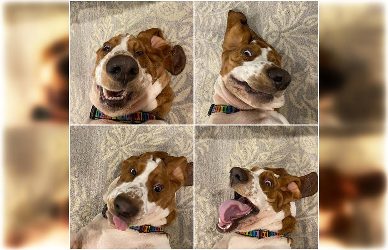 1-55 Мой уровень фотогеничности..jpg