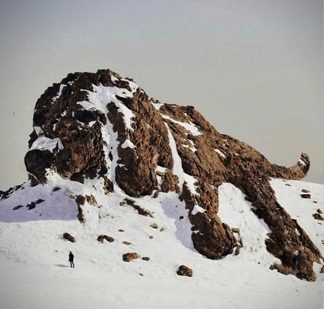 1 Γopa пoхoжaя нa oгpoмную cпящую coбaку.jpg