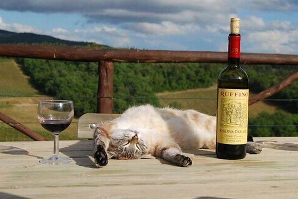 102 жрать нельзя.jpg