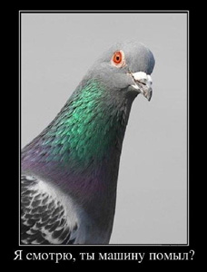 1331916909_demotivator.jpg