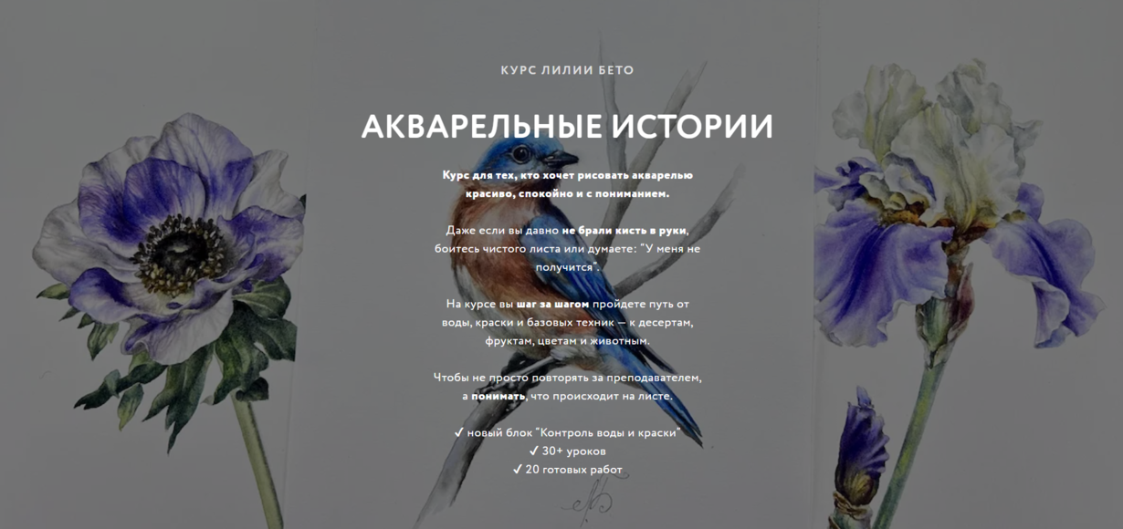 13ce66b9-e8ca-44bf-a90f-07ae648e4483 (1).png