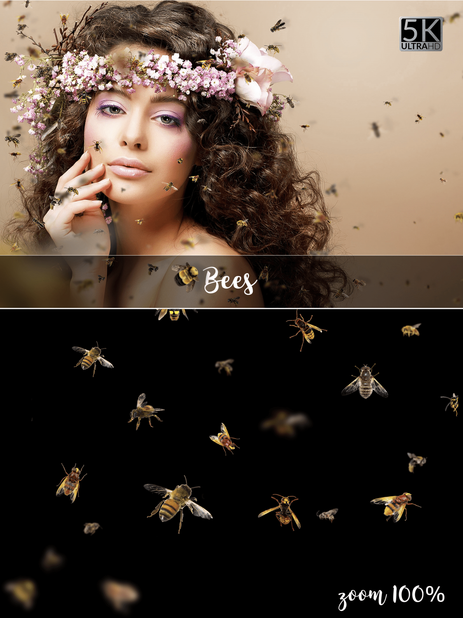 1Shot Capture 014.png