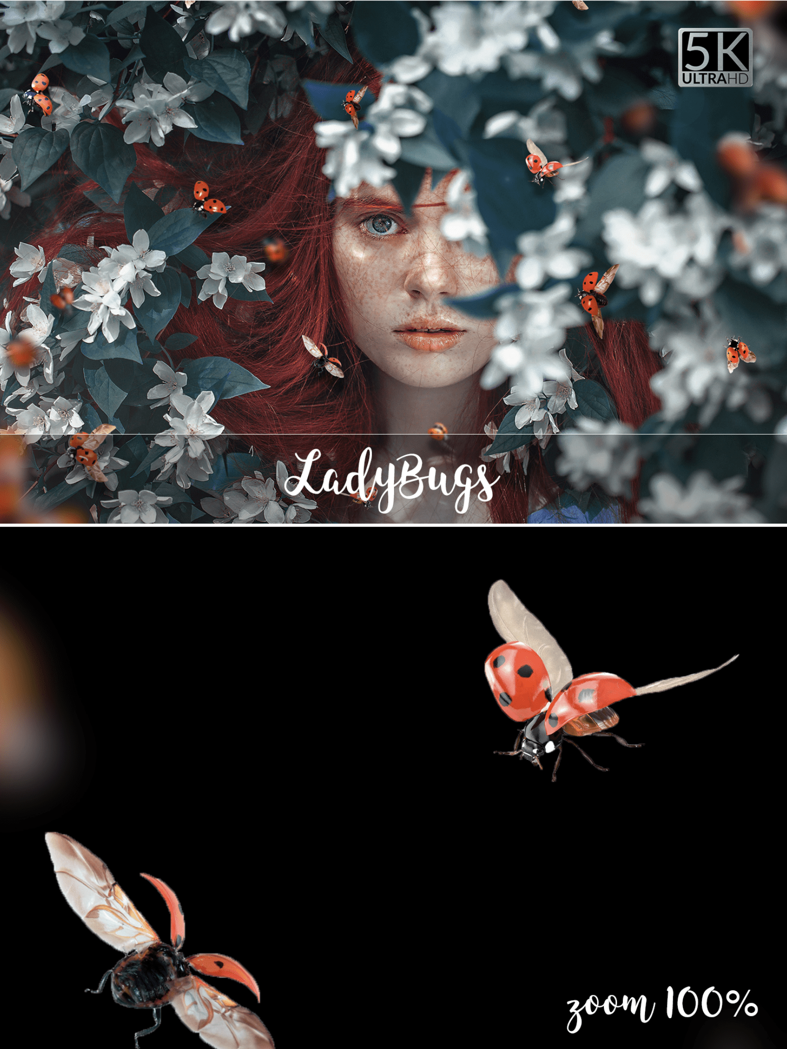 1Shot Capture 015.png