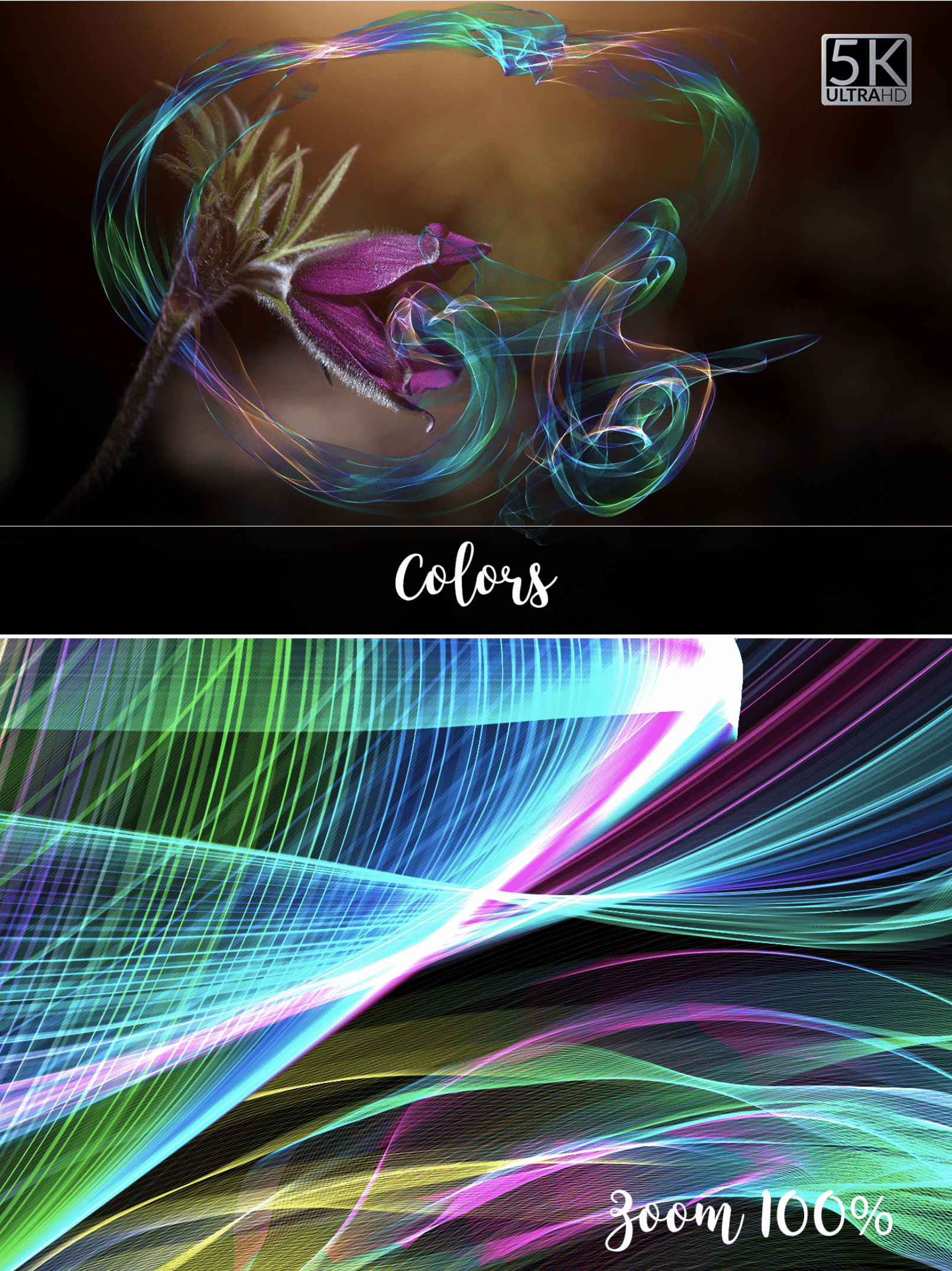 1Shot Capture 020.png