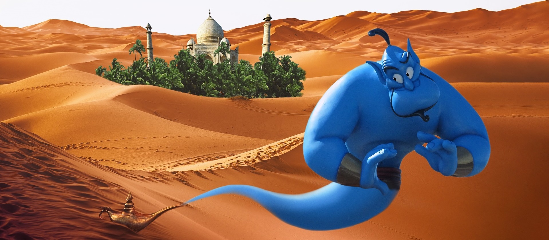 2 genie-gd85dfd817_1920.jpg