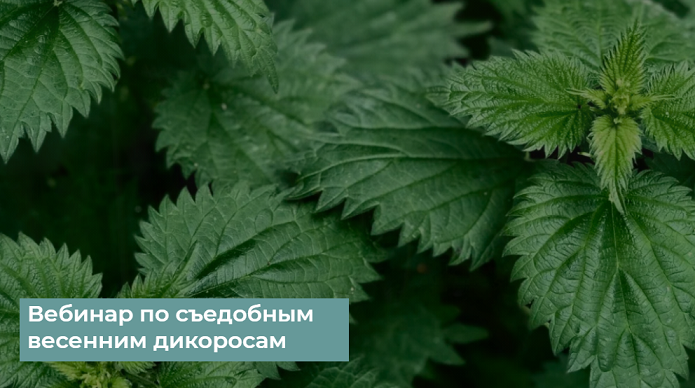 2021-05-21_04-21-45 (2).png