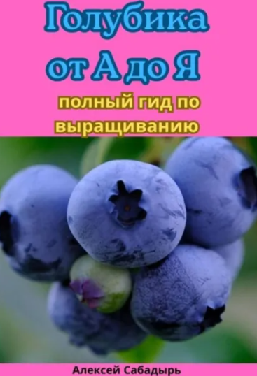2026-07-25_131305.png