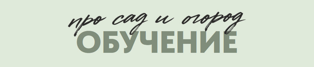 2026-10-08_20-18-20.jpg