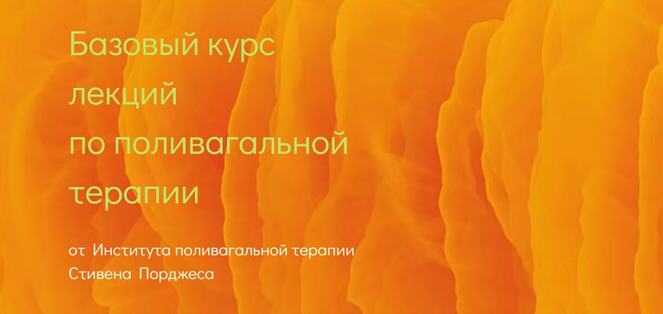 2026-10-21_001330.jpg
