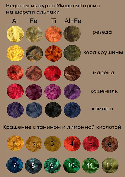 2233d7_a58324eaec8f455d811a5bb54b754dd6~mv2.jpg