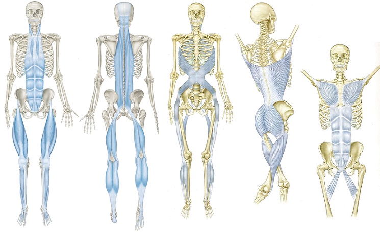 4.-anatomy-trains - 1.jpg