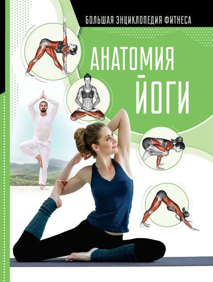 51858872-elena-homich-anatomiya-yogi-51858872.jpg
