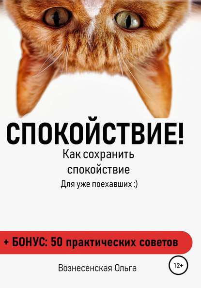 54167570-olga-sergeevna-voznesenskaya-spokoystvie-kak-sohranit-spokoystvie.jpg