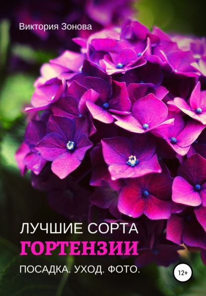 63863827-viktoriya-zonova-gortenzii-luchshie-sorta.jpg