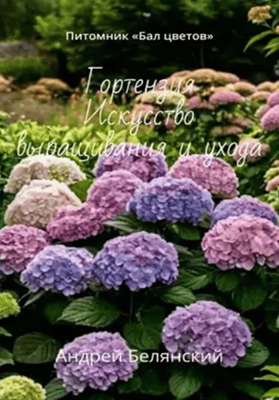 74054293.jpg