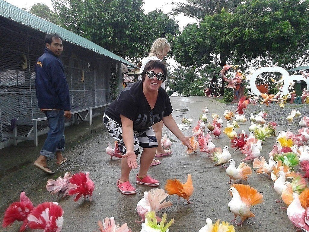 А Вы видели таких голубей.jpg