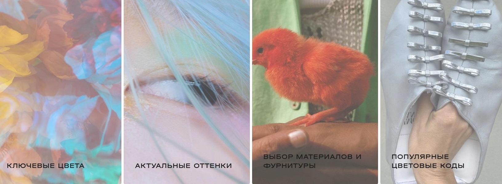 актуальные оттенки.JPG