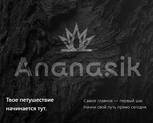 Ананасик.png