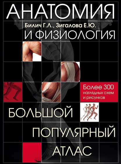 Анатомия и физиология.jpg