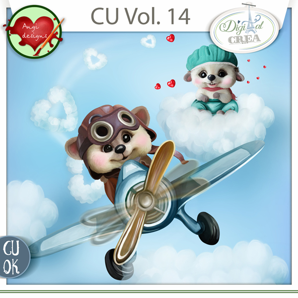 Angi_Designs_CUvol14_preview.jpg