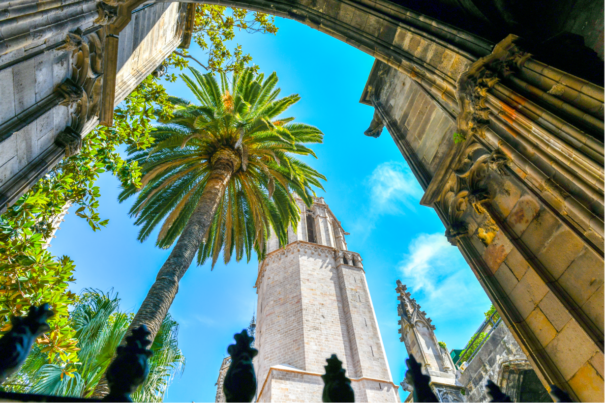 Барс Готич-2.png