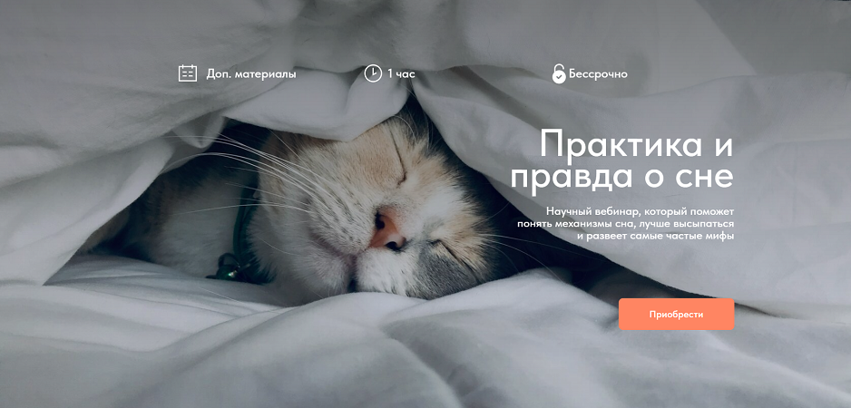 Без имени (1).png