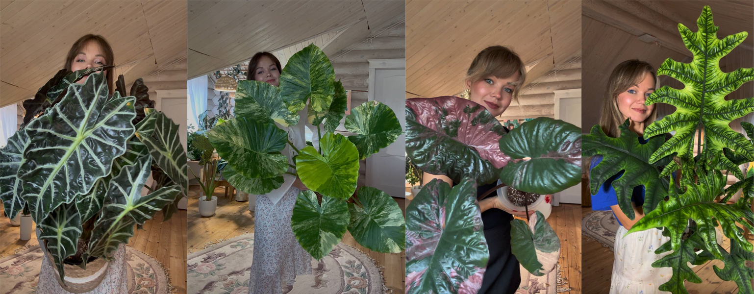 Без имени.jpg