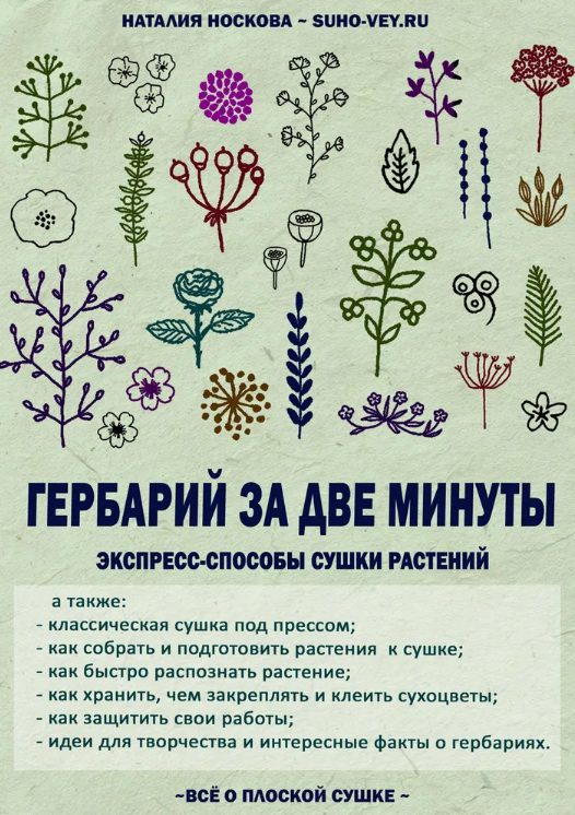 Без имени.png