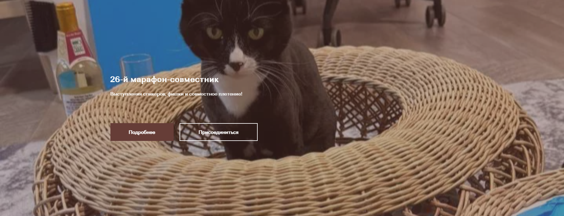 Без имени.png