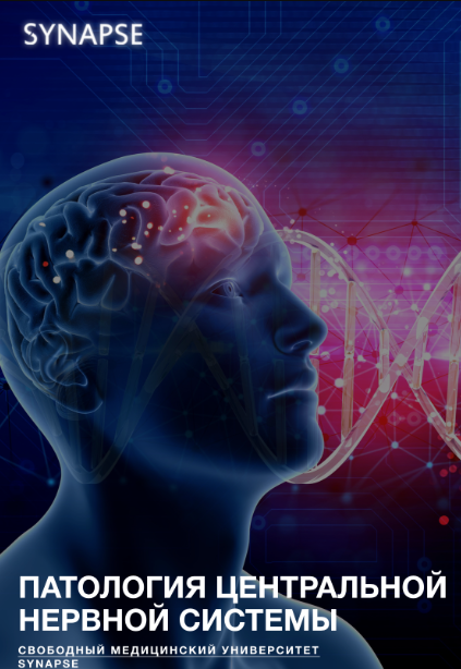 Без имени.png