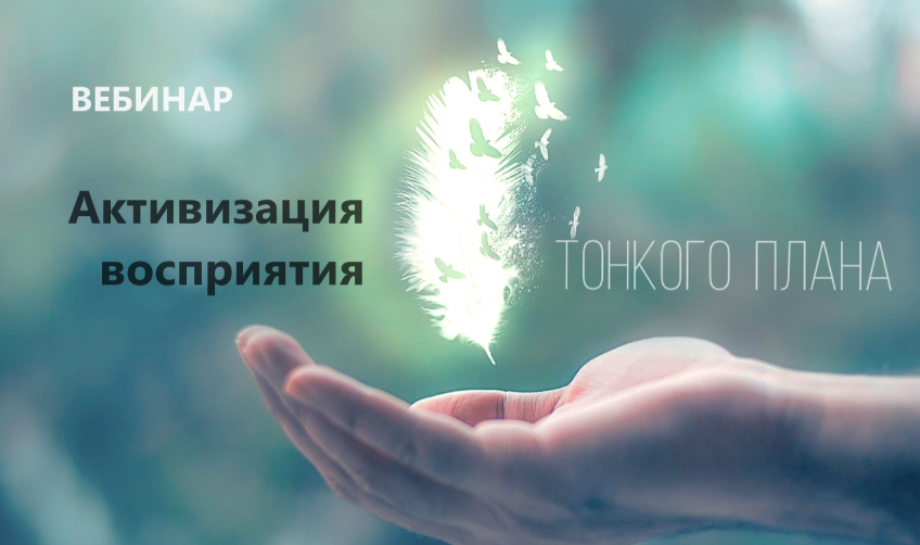 Без имени.png