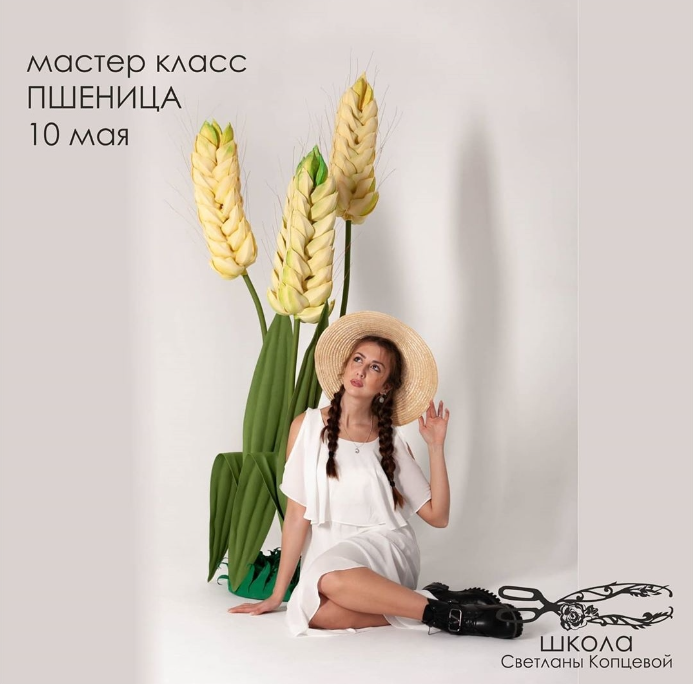 Без имени.png