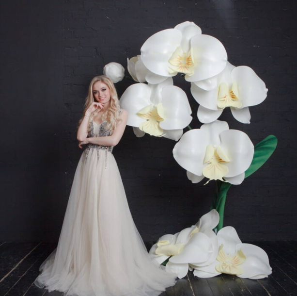 Без имени.png