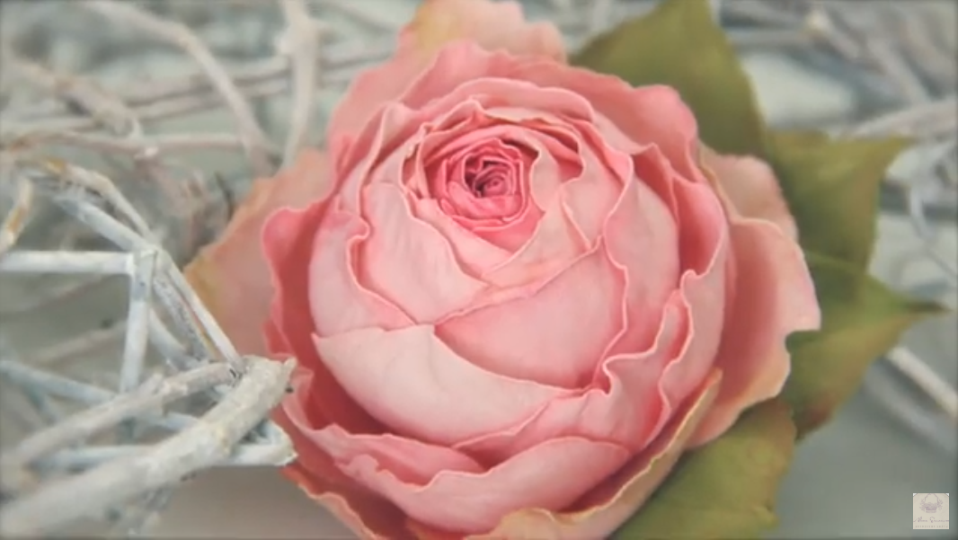 Без имени.png