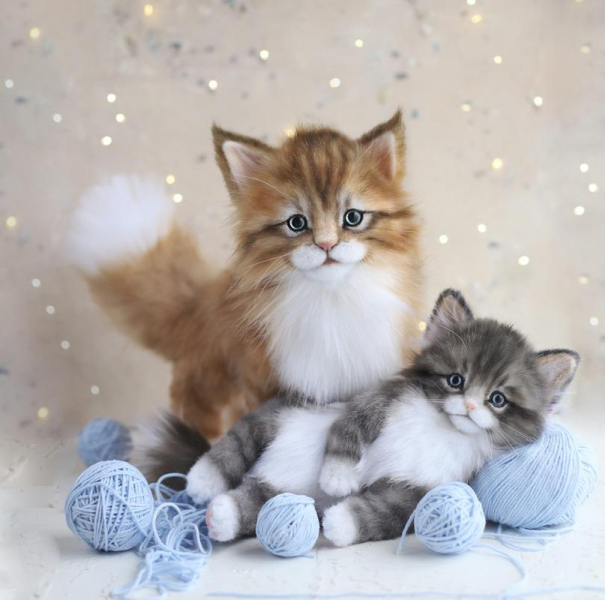 Без имени.png