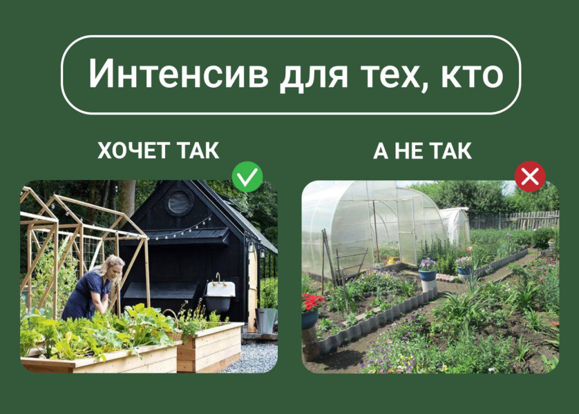 Без имени.png