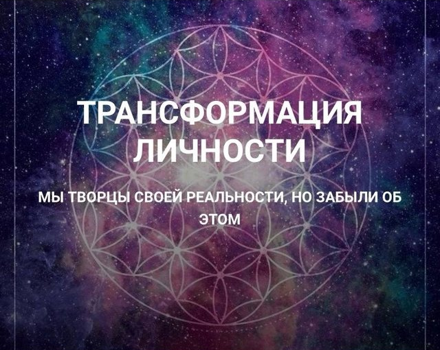 Без имени.png