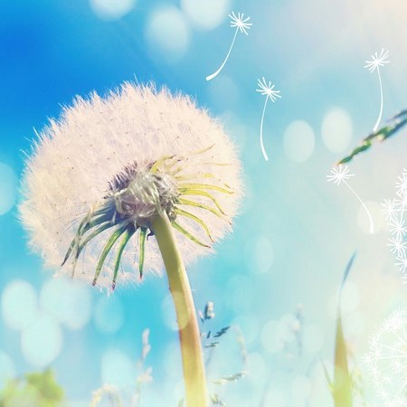 Без имени.png