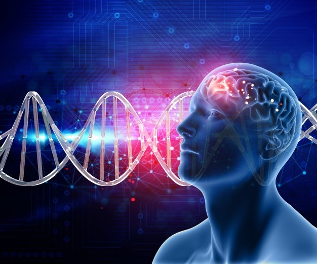 Без имени.png