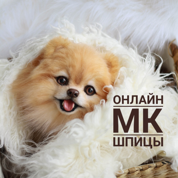 Без имени.png