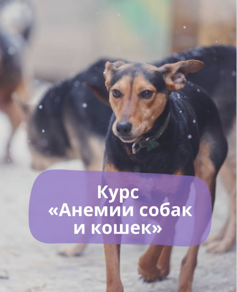 Без имени.png