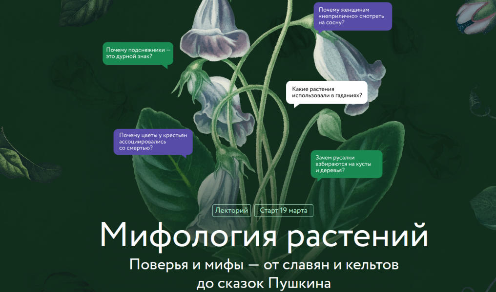 Без имени.png