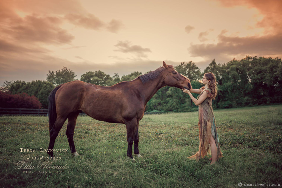 Без имени.png