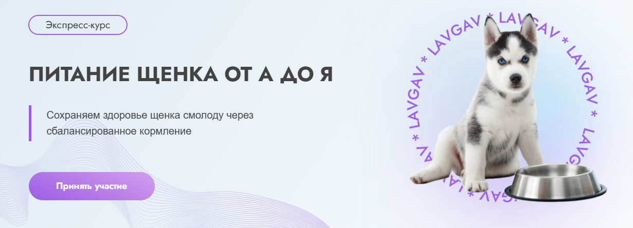 Без имени.png