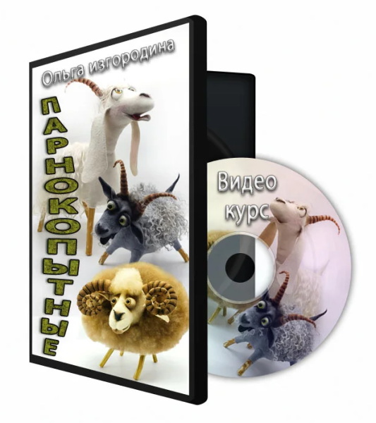 Без имени.png