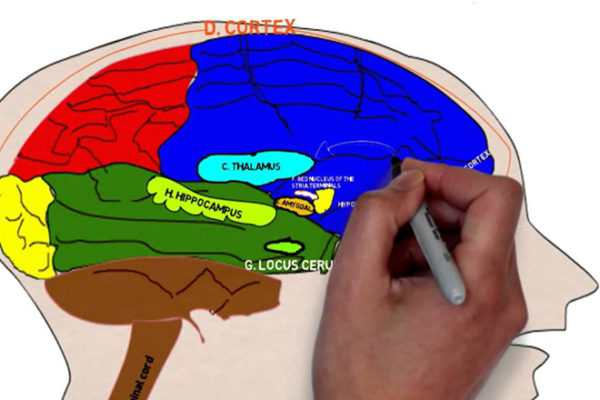 Без имени.png