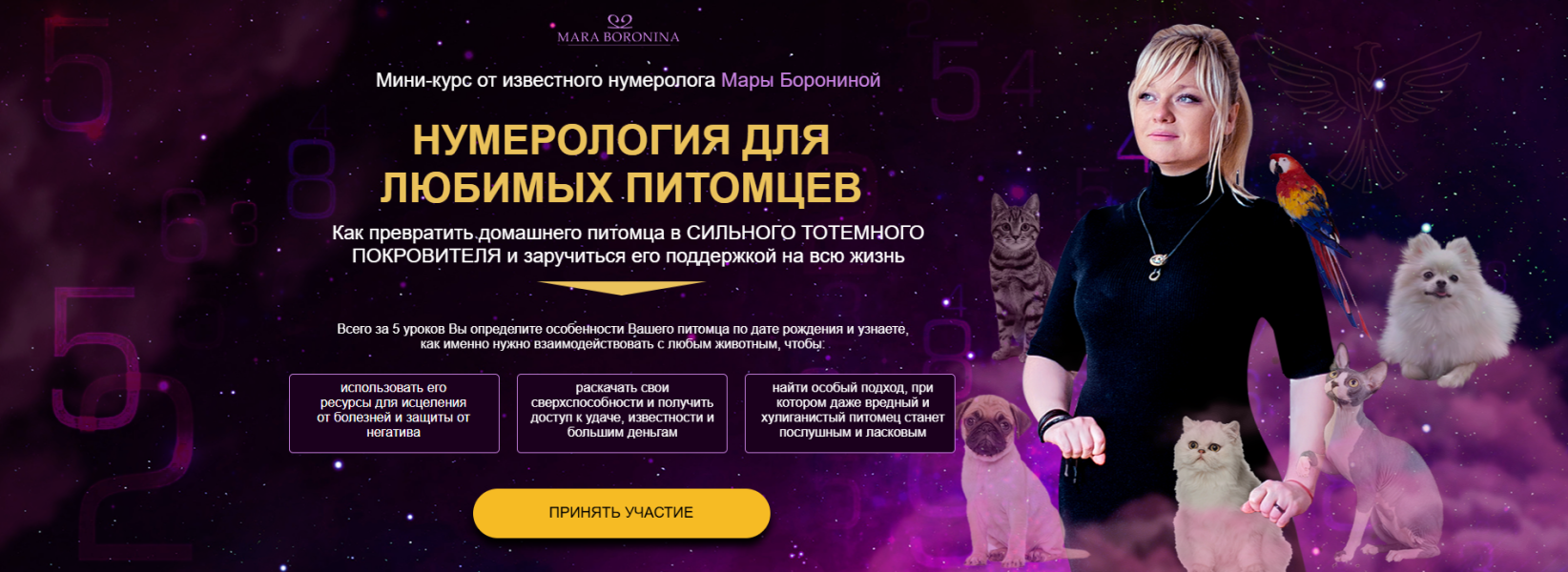 Без имени.png