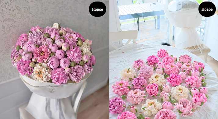 Без имени.png